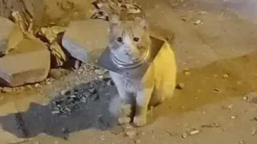 الميديا فضحتها.. مصدر أمني يكشف...