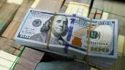 سعر الدولار أمام الجنيه في...