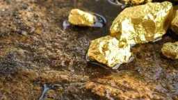 ارتفاع مستمر.. سعر الذهب الآن...