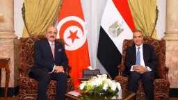 تعزيز التعاون الثنائي.. وزير الخارجية...