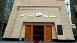 سابوا الشغل وقفلوا الوحدة.. إحالة...