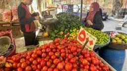 معدل التضخم السنوي العام يرتفع...