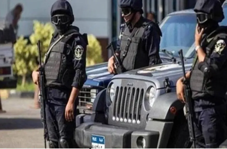 ارشيفية