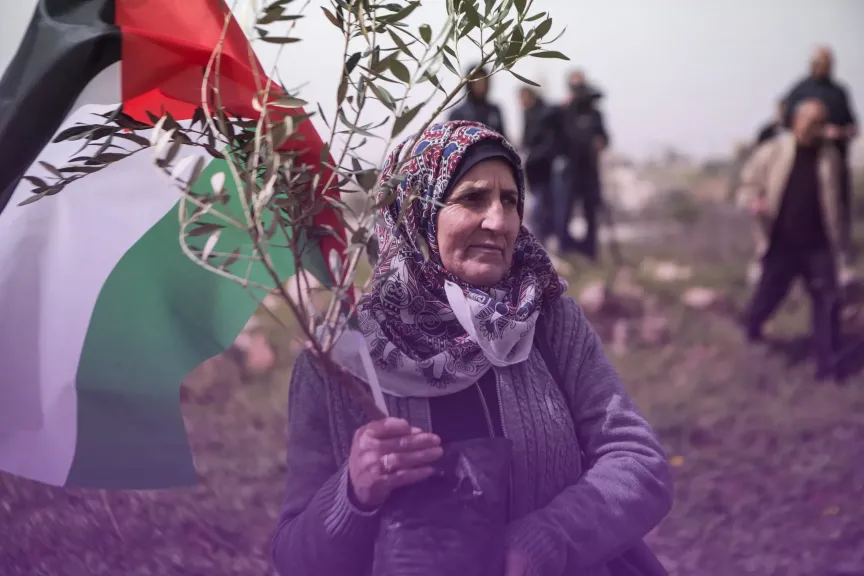 صورة أرشيفية.