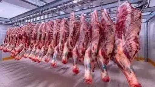 استقرار نسبي.. أسعار اللحوم اليوم...