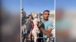 تقارير وتحقيقات