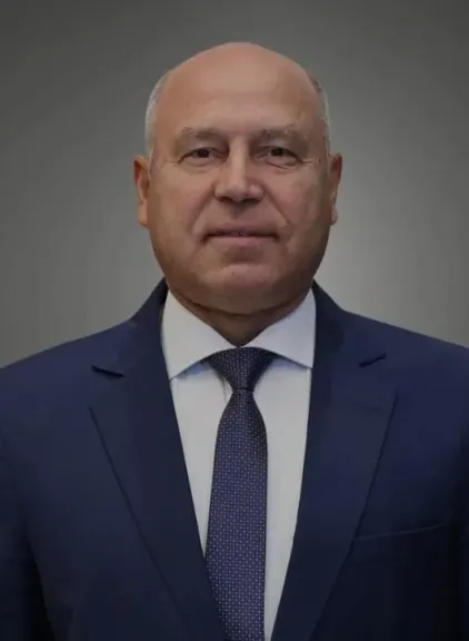 نائب رئيس مجلس الوزراء
