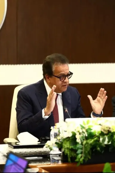 نائب رئيس مجلس الوزراء