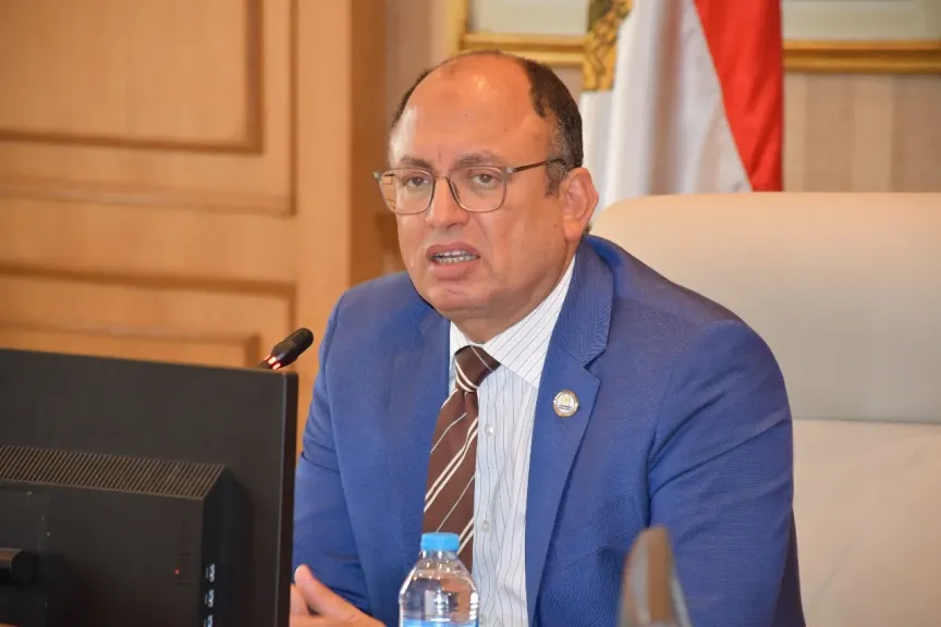 الدكتور السيد قنديل رئيس جامعة حلوان _الجامعات المصرية _التعليم