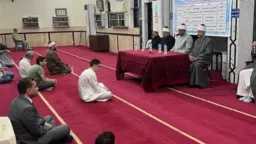 أخبار مصر