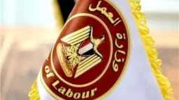 براتب يصل 10 آلاف جنيه..«العمل»...