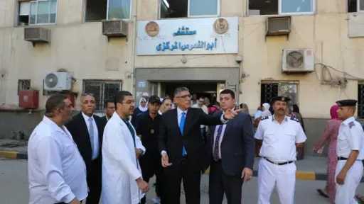 أخبار مصر