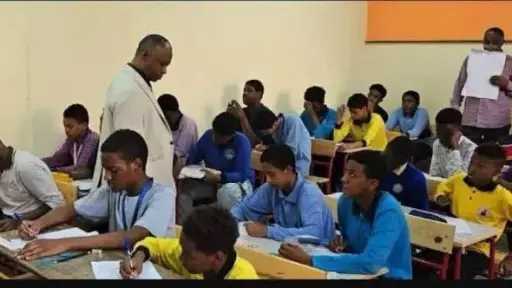 تقارير وتحقيقات