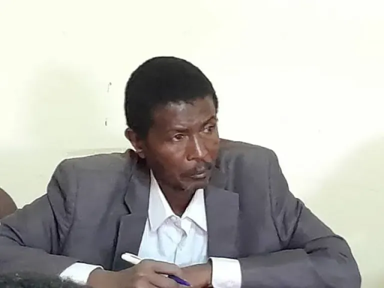 الصادق علي حسن