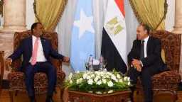مصر والصومال: قمة لبحث التعاون...