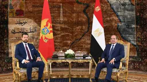 أخبار مصر