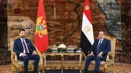 أخبار مصر