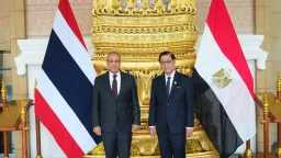 أخبار مصر